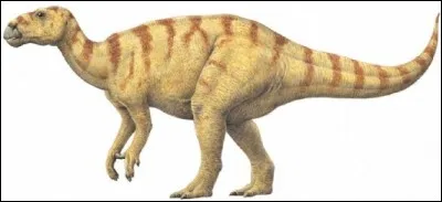 Who have discovered the first dinosaur ?