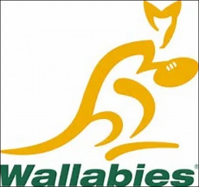 Which country's rugby team does this logo belong to?