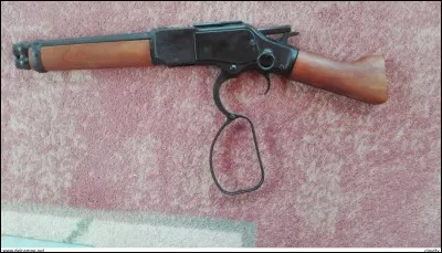 Who does this gun belong to?