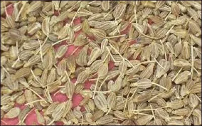 What is the name of this spice ?