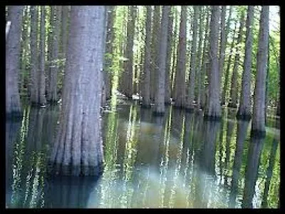 Whats is the name of this lake ?