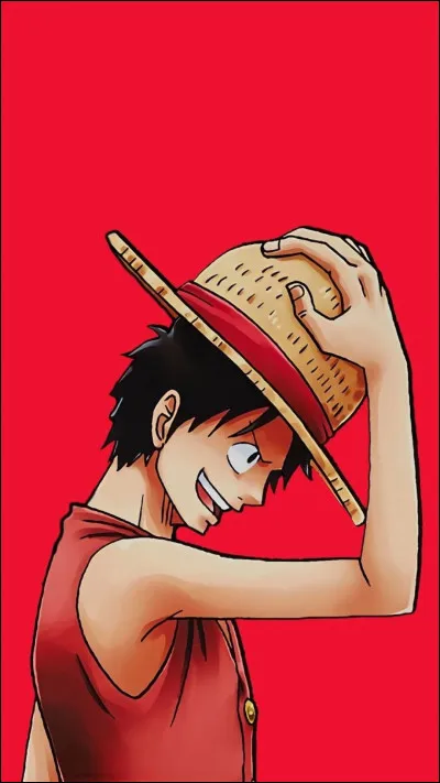 Monkey D. Luffy ate the Gum Gum fruit.