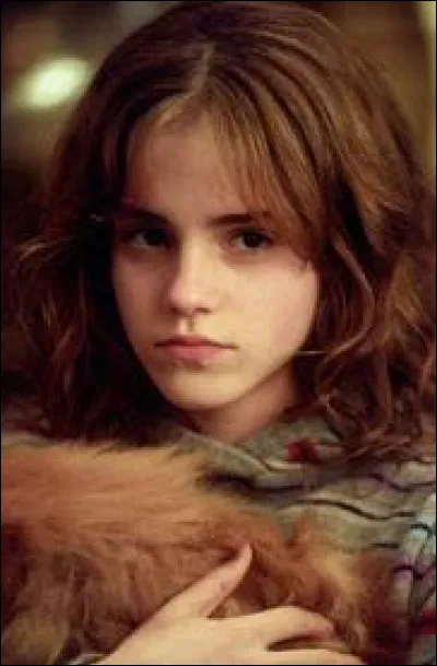 At one point during her school years, Hermione was in love with Harry.