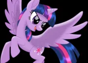 Quiz MLP quiz!