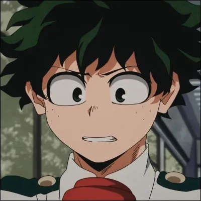 Izuku Midoriya had an Alter at the age of 4