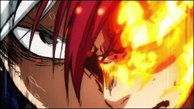 What is Todoroki Shoto's Alter?