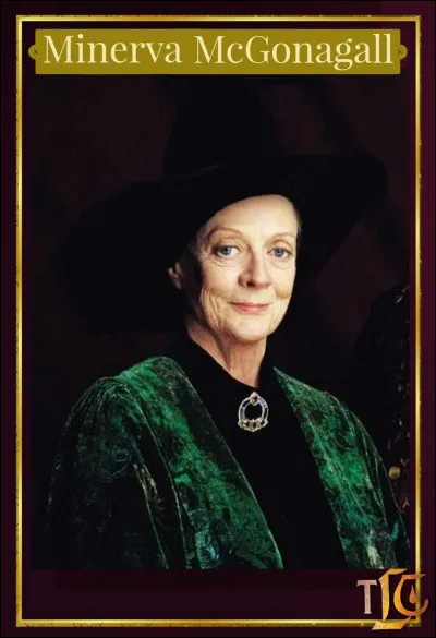 What subject does Minerva McGonagall teach?