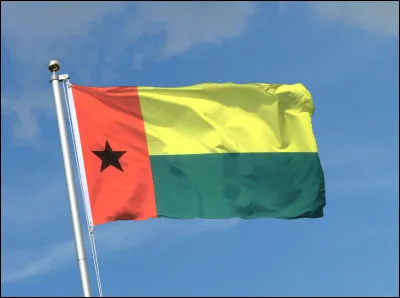 Which country has this flag?