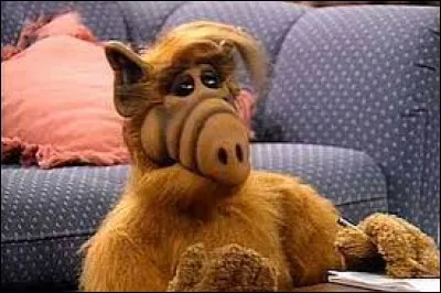 What is Alf's real name?