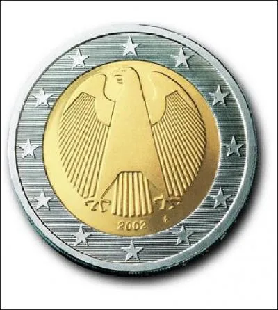 What country does this euro come from?