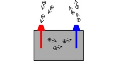 What is opposed to the cathode?