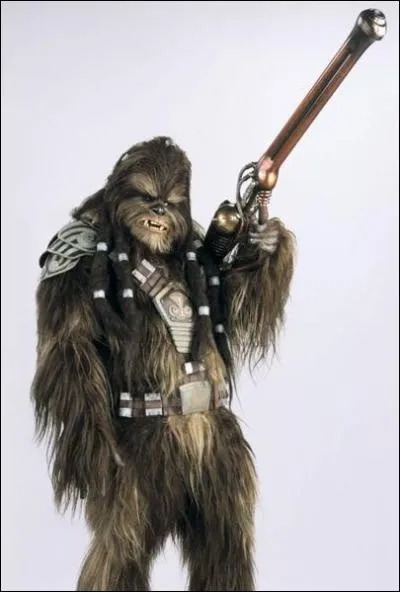 What's this wookie's name?