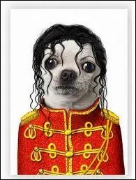 He is the King of Pop :