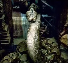 What is Nagini?