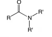 Quiz Chem 110 - Common Functional Groups