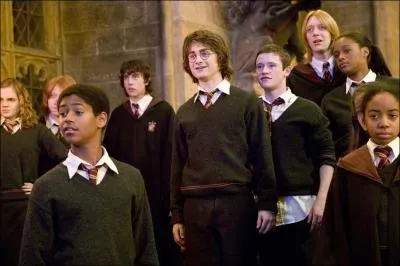 Who is the principal of Gryffindor during Harry's years at Hogwarts?