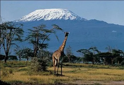 Culminating at 5,895 meters, Kilimanjaro (photo: Uhuru Peak, at Kibo volcano) is the highest peak on the African continent. In which country do you find it ?