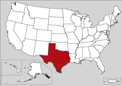 The Rio Grande represents the natural border between the state and Mexico. It is the second-largest (larger than France) and second most populous state of the USA.