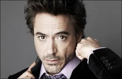 Who is the actor who plays Tony Stark?