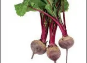 Quiz Vegetables1