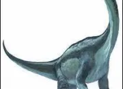 Quiz Our Dinosaur Quiz