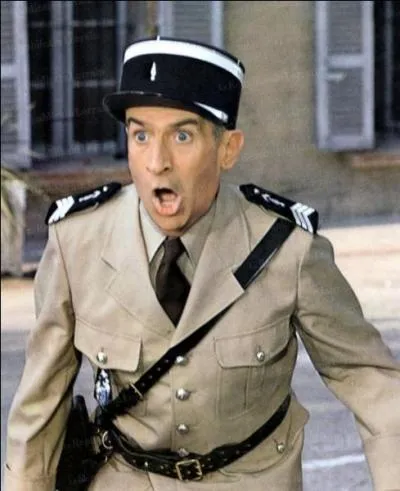 Louis de Funes plays marechal des logis chef Ludovic Cruchot. In which film?