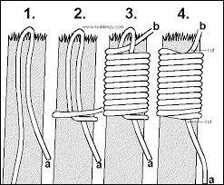 Quiz General knowledge