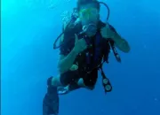 Quiz What do you know about scuba diving