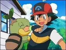 What's Ash's starter pokemon in Sinnoh region?