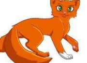 Quiz Guess which warrior cat!