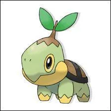 At what level does Tortipouss evolve and in what way?