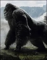 What breed of ape does King Kong look like?