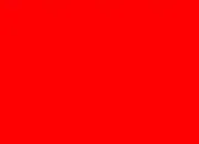 Quiz What is this color ?