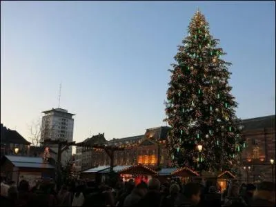 How tall is the Christmas tree on the Place Kebler at the Strasbourg Christmas Market? (2015)