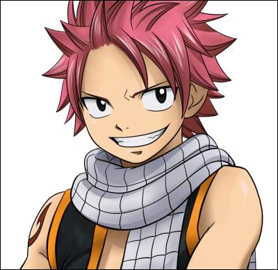 There's No Way You Can Pass This Fairy Tail Quiz - Quizondo