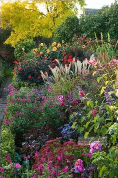 Is this a high water garden or a low water garden?