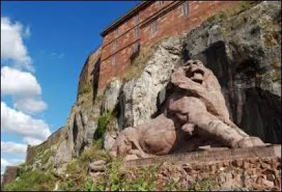 In which French city can you admire this lion statue?